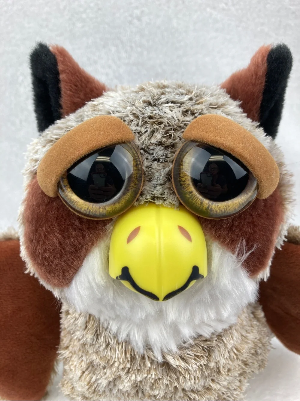 FEISTY PETS DASTARDLY DANIEL™️ THE GREAT HORNED OWL
